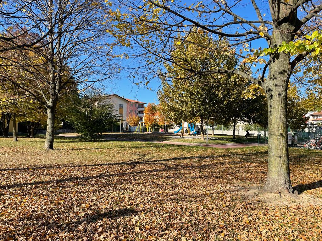 Immagine per Il centro giovani di Monfalcone pianta nuovi alberi il giorno della Madonna della Salute